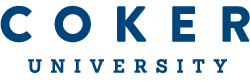 Login Logo